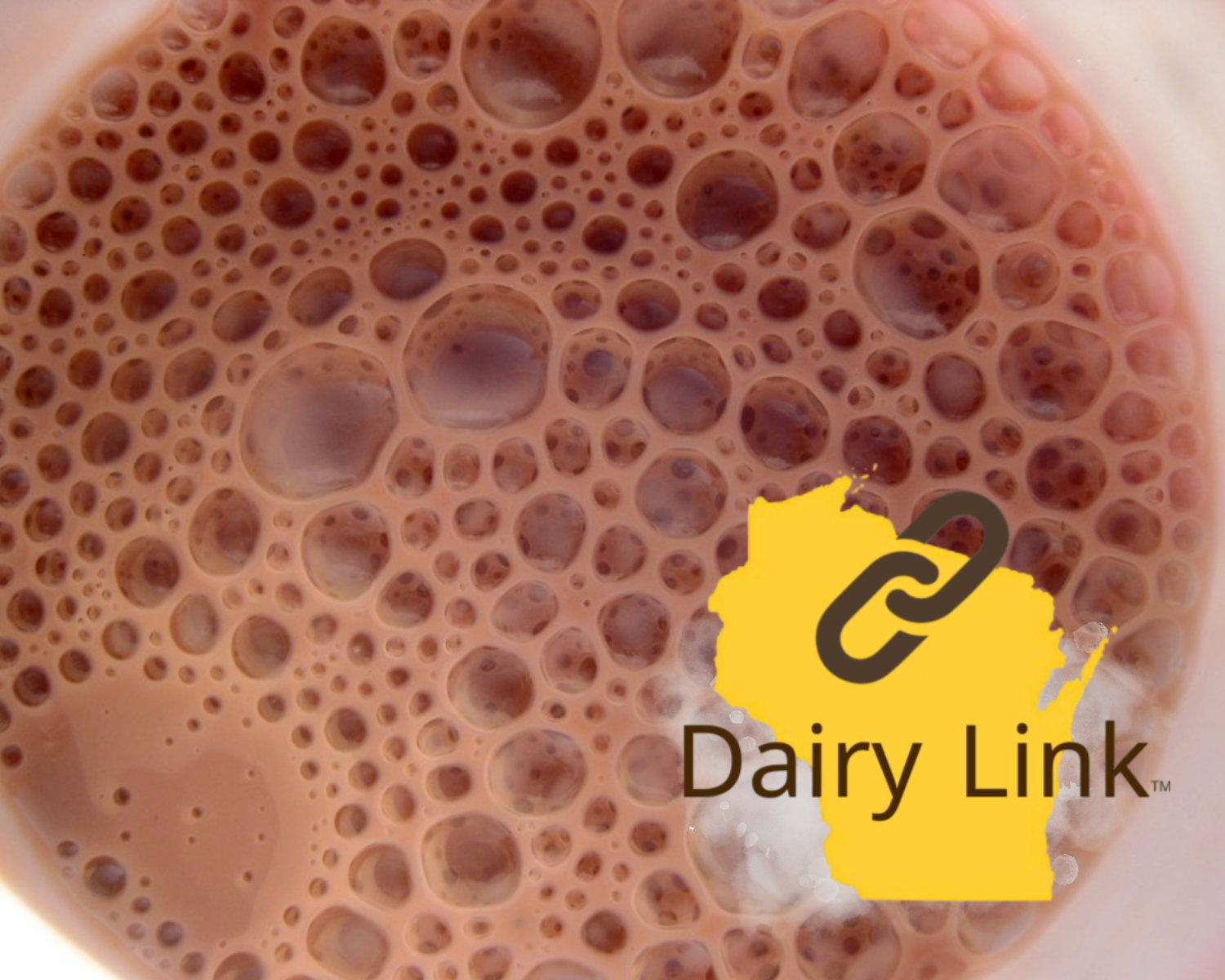 Wisconsin Chocolate Milk from A2 to Z: Five You Gotta Try